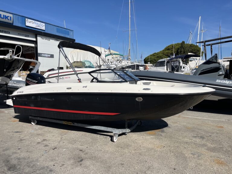 BAYLINER ELEMENT E6 (6)