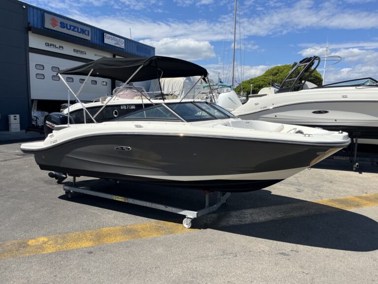 SEA RAY 190 SPX OB